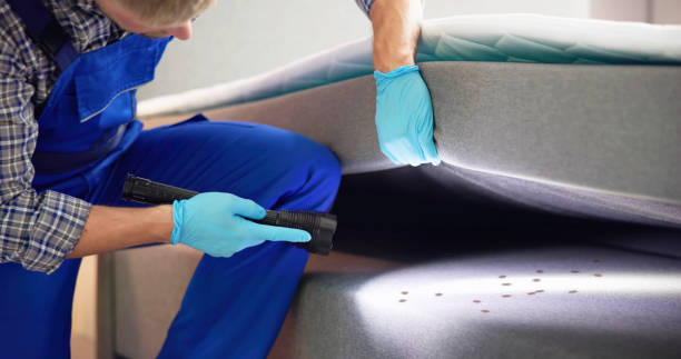 Best Pest Prevention Services  in Plentywood, MT
