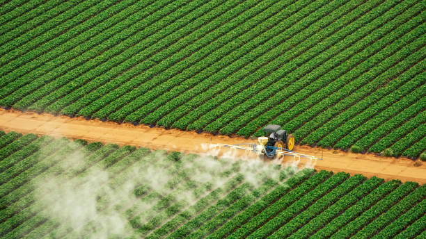 Best Commercial Pest Control Services  in Plentywood, MT