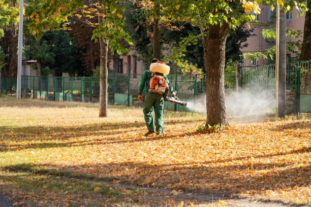 Pest Prevention Services in Plentywood, MT