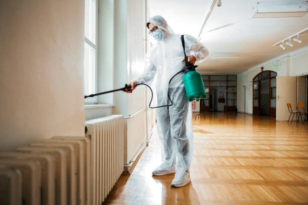 Best Flea Control Services  in Plentywood, MT
