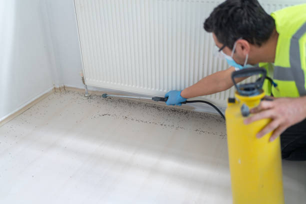 Best Bed Bug Extermination  in Plentywood, MT