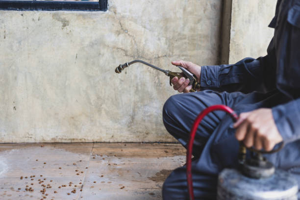 Best Residential Pest Control  in Plentywood, MT
